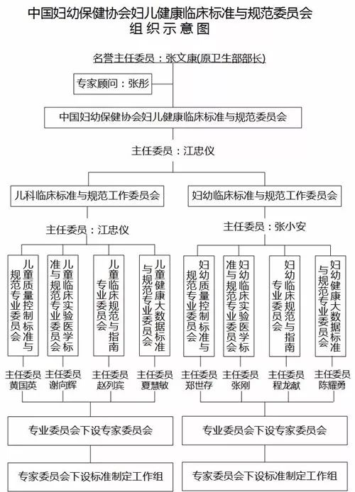 组织示意图.png