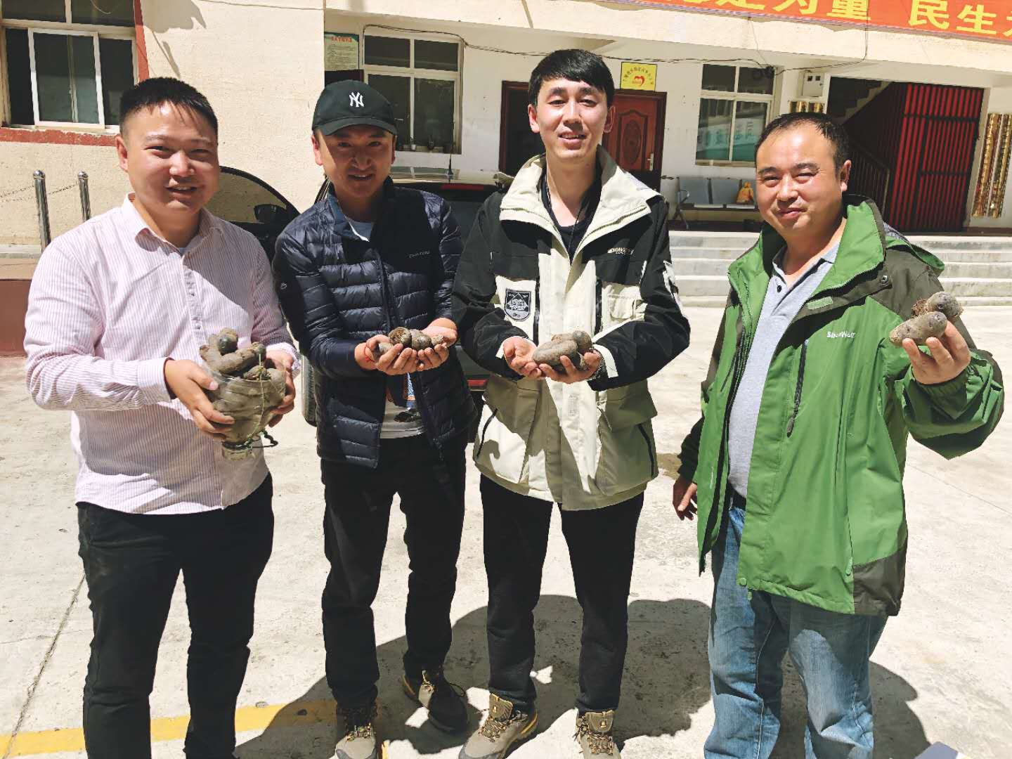 2018年8月，由第一书记赵付伟同志指导实验种植的高原新农作物紫土豆、萝卜和西红柿长势良好，试种成功.png
