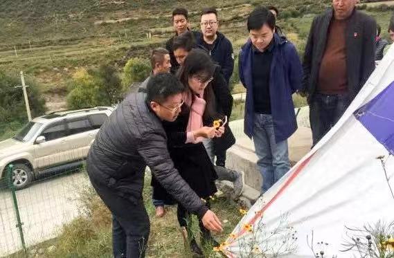 微信图片_20181029161833.jpg
