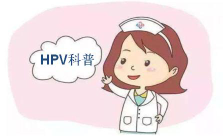 HPV科普.png